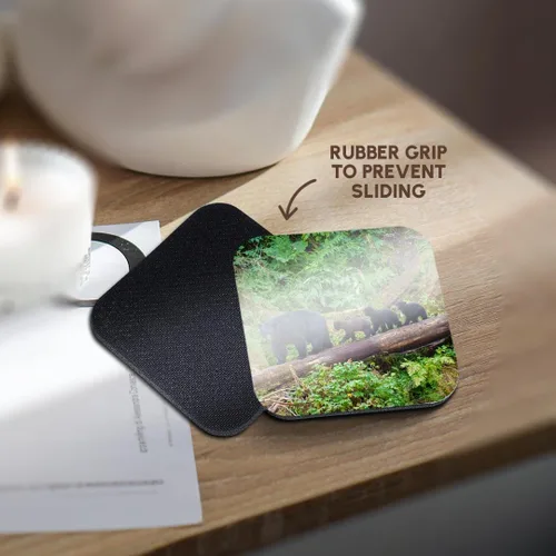 Miniatura 4 de 3dRose Black Bear Triplets Follow mom at ANAN Creek. Set of 4 Coasters - Soft