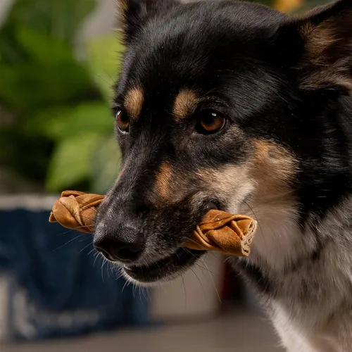 Miniatura 2 de Pet Factory CareChewz - Golosinas trenzadas delgadas de colágeno de 6 a 7 pulgadas para masticar para perros, sabor a pollo, 5 unidades/1 paquete