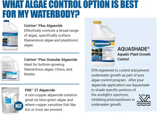 Miniatura 3 de Bioquímicos aplicados Cutrine-Plus algicida