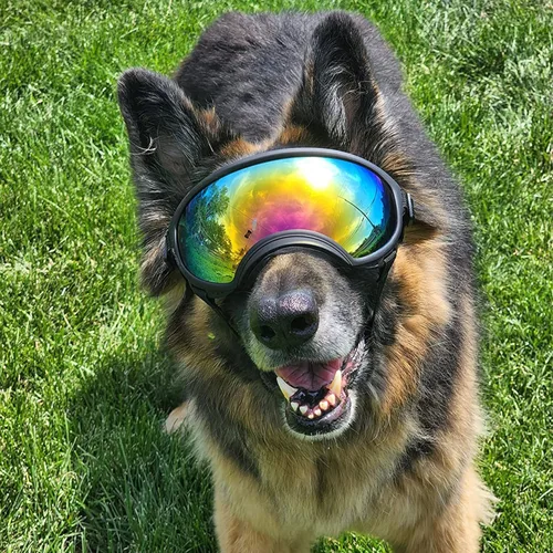 Miniatura 7 de Gafas de sol grandes para perros con correa ajustable, protección UV, a prueba de victorias, adecuadas para perros medianos y medianos
