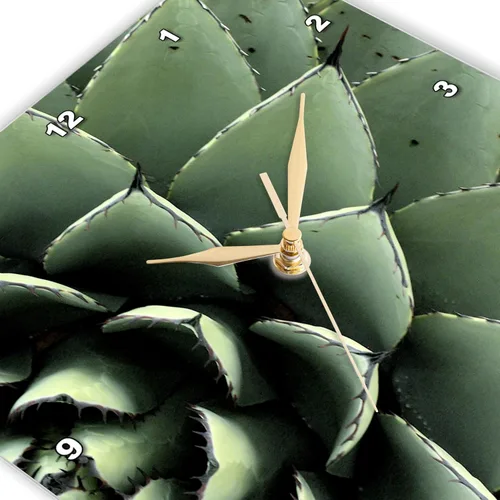 Miniatura 2 de 3dRose DPP_92676_2 Agave Cactus Suculent, Santa Fe, Nuevo México US32 JMR0454 Julien McRoberts Reloj de pared, 13 x 13 pulgadas