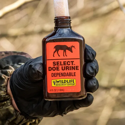 Miniatura 5 de Wildlife Research atrayente de venado 4 onzas líquidas