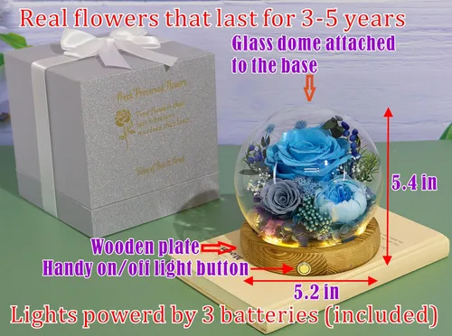 Miniatura 2 de Valley of Rain & Forest Flores reales de larga duración, regalo floral único para que envíes amor para todas las ocasiones, para decoración de Rosa