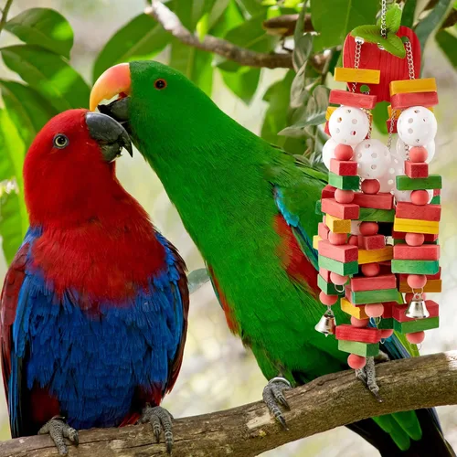 Miniatura 3 de Seenelling 3 piezas de juguete extra grande de loro de madera natural multicolor jaula de loro masticar juguetes para guacamayos grandes medianos
