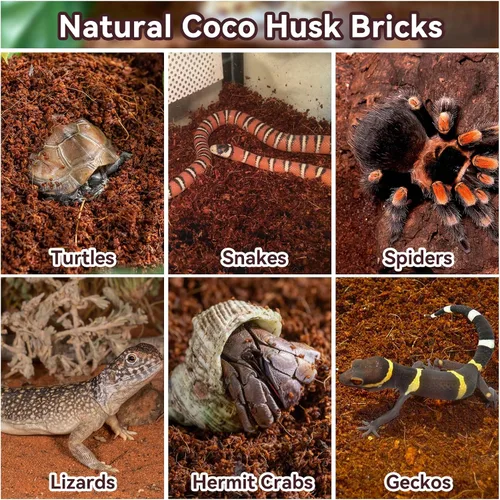 Miniatura 5 de Legigo 2 Pack Sustrato de fibra de coco comprimida - 100% fibra de coco orgánica en bloque para cama de reptiles, sustrato natural de cáscara