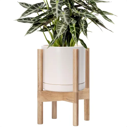 Miniatura 94 de D'vine Dev Maceta de cerámica con soporte de ébano – Maceta redonda moderna de 8 pulgadas con soporte para maceta de madera, color negro, 55-B-M-2