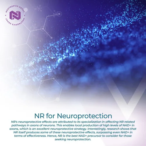 Miniatura 3 de Nootropics Depot Cápsulas de ribósido de nicotinamida 300 mg Precursor de NAD+ 30 unidades Promueve los niveles de NAD+ Energía celular