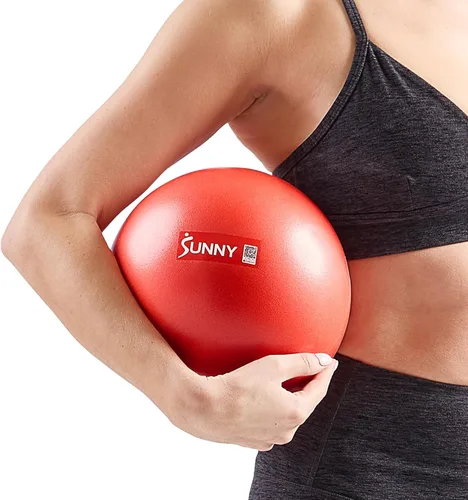 Sunny Health & Fitness Pelota de ejercicio antiestallidos de alta calidad para fuerza central, yoga, pilates, barra, terapia física, equilibrio,
