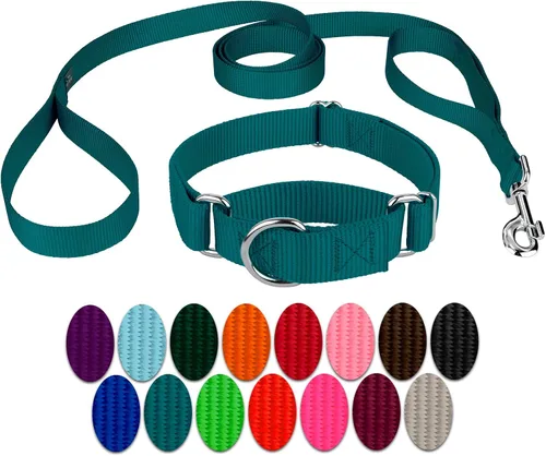 Miniatura 15 de Country Brook Petz - Collar para perro de nailon resistente Martingala azul hielo y correa de doble asa (1 pulgada, grande)