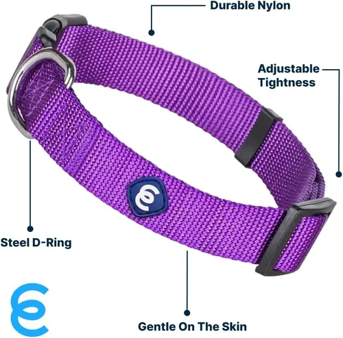 Miniatura 3 de Blueberry Pet Essentials - Collar para perro pequeño en orquídea oscura Correa de nailon duradera ajustable y ecológica Collar clásico