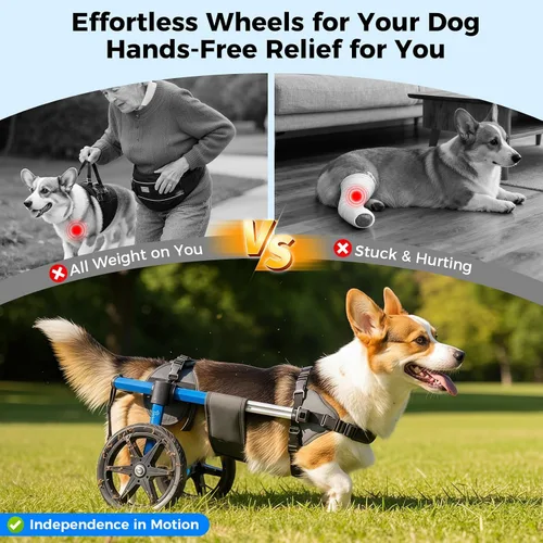 Miniatura 2 de Silla de ruedas para perros para patas traseras, silla de ruedas ajustable para perro, marco de aluminio con arnés acolchado, ruedas todo terreno