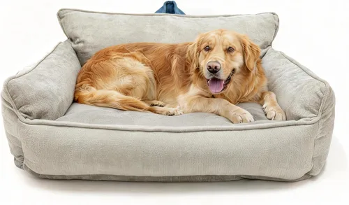Miniatura 12 de Cama mediana para perro, cama calmante para perros, cama para perros de tamaño mediano, impermeable, M (23.5 x 15.5 x 13.5 pulgadas)