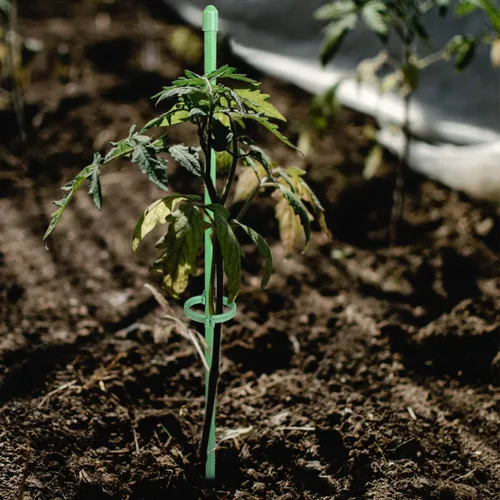 Miniatura 6 de Estacas de soporte para plantas de 12 pulgadas, con anillo de retención ajustable, estacas de soporte para plantas de interior y exterior, flores