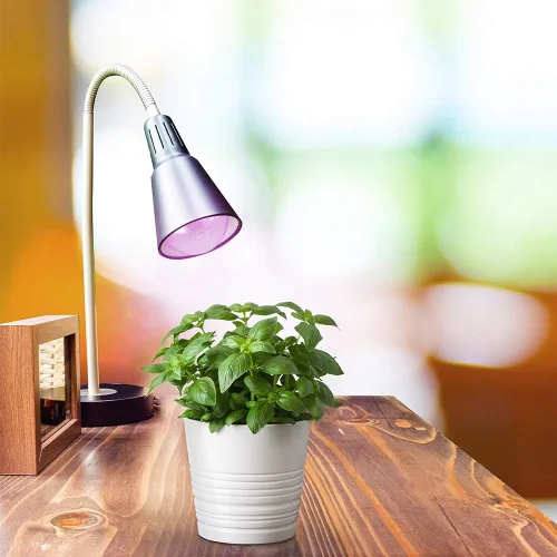 Miniatura 3 de Feit Electric Bombilla LED de espectro completo A19/GROW/LEDG2/BX, equivalente a 60 W, A19, no regulable, color verde
