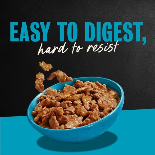 Miniatura 10 de Cesar Gourmet - Comida húmeda para perros, paquete de 12