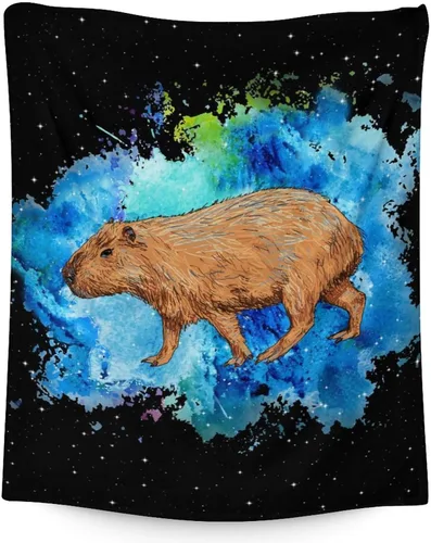 Miniatura 20 de Mantas temáticas de animales para niños, tamaño regazo de 30 x 40 pulgadas, manta de felpa suave y peluda para regalo, mantas negras para cama, sofá