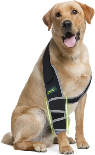 Miniatura 16 de Arnés para perros medianos, arnés de apoyo para la pierna trasera para asistencia de movilidad, ayuda a apoyar perros con problemas