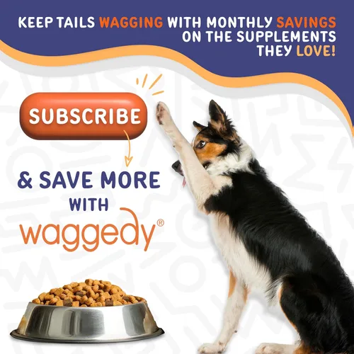 Miniatura 7 de waggedy Daily Essentials - Masticables suaves para adultos, multivitamínico para perros y partidario del sistema inmunológico, suplemento