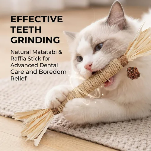 Miniatura 3 de Juguetes para gatos, 6 piezas de juguetes para gatos de interior, juguete de hierba gatera para masticar Silvervine Stick para limpiar dientes