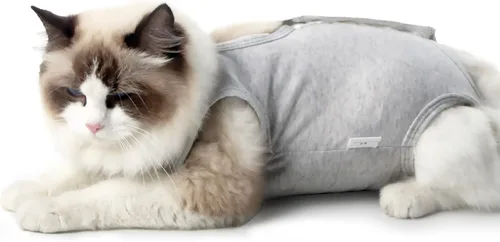 Traje de recuperación para gatos macho y hembra, ropa suave para después de la cirugía, mono con cono protector, camisa, ropa, pañales protectores,