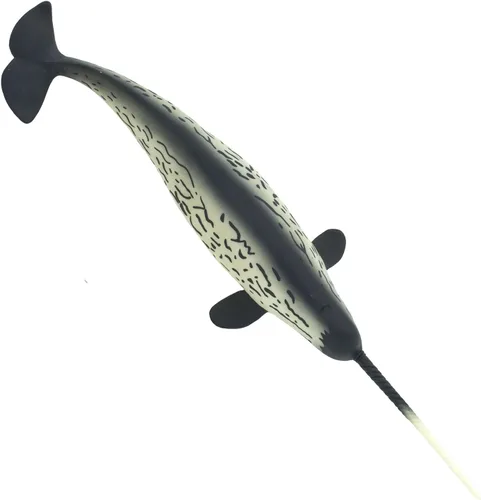 Miniatura 2 de Safari Ltd, Acuario Marino de la Bahía de Monterrey, Narval