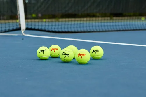 Miniatura 10 de Penn Pelotas de tenis Championship - Pelotas de tenis a presión de fieltro de servicio regular