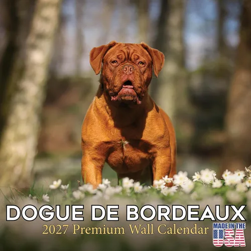 Miniatura 203 de Calendario 2025 2026 de cachorros Cocker Spaniel - Calendario mensual de pared de raza de perro - 12" x 24" abierto - Papel grueso sin sangrado