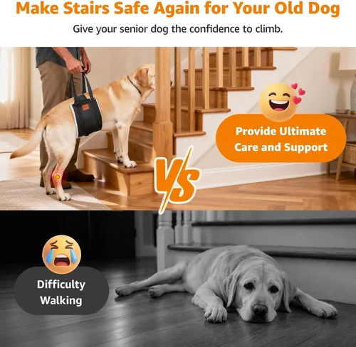 Miniatura 5 de LOOBANI Arnés de elevación para perros para patas traseras, arnés portátil para perros grandes, soporte para patas traseras, cómodo soporte