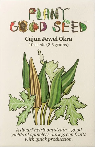 Plant Good Seed Semillas orgánicas de Okra Cajun Jewel – Paquete de 40, semillas tradicionales para plantar verduras – Suministros de jardinería,