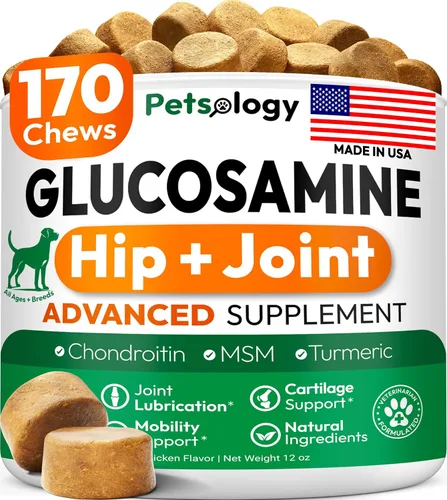 Glucosamina para perros - Suplemento de cadera y articulaciones para perros - 170 masticables de movilidad - Glucosamina condroitina - MSM - Cúrcuma