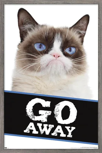 Trends International Grumpy Cat - Póster de pared con texto en inglés «Go Away», 14.725 x 22.375 pulgadas, versión enmarcada de madera de granero