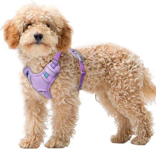 Miniatura 20 de BARKBAY Arnés para Perro Sin Tirones Talla Grande Arnés Reflectante para Perro con Clip Frontal y Asa de Control Fácil para Caminar Entrenar Correr