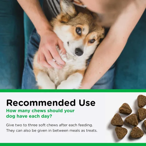 Miniatura 5 de Nutri-Vet Masticables suaves para la salud dental para perros, esenciales para cachorros, removedor de placa, suministros para mascotas, ambientador