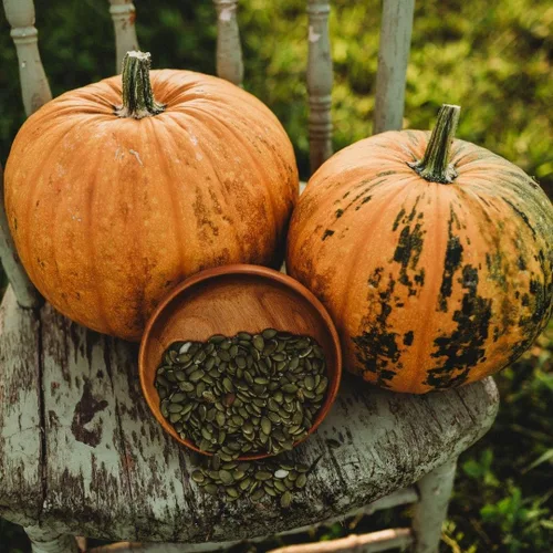 Kakai - Calabaza de semillas oleaginosas sin cáscara, 25 semillas, variedad de calabaza austriaca, calabaza de estirio, cultiva tus propias semillas