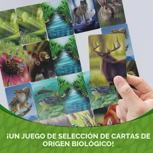 Miniatura 4 de Ecosistema - Un juego de cartas familiar sobre la construcción de hábitats ¡Aprende sobre animales, ecología y biodiversidad para niños, adultos
