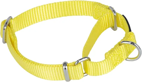 Miniatura 43 de Collar Hyhug Pets de nailon resistente, cómodo y seguro, para entrenamiento profesional, martingala, uso diario, para caminar, antiescape, para Azul