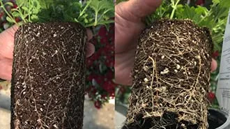 Miniatura 2 de Obtego Fungicida y Simbionte de Plantas 5 lb