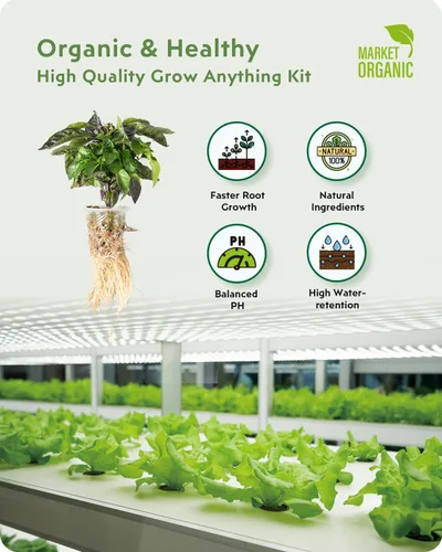 Miniatura 2 de URUQ 180Pcs Suministros de cápsulas hidropónicas: Kit para cultivar cualquier cosa con 45 esponjas de cultivo, 45 cestas de cultivo, 45 cúpulas