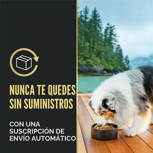 Miniatura 10 de Purina Pro Plan - Alimento para perros de raza pequeña con alto contenido de proteínas, fórmula de pollo y arroz, bolsa de 6 libras