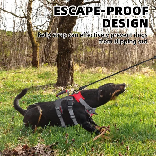 Miniatura 4 de PUPTECK Juego de arnés y correa para perro a prueba de escape, chaleco reflectante sin tirones con asa de elevación, arnés para mascotas de fácil