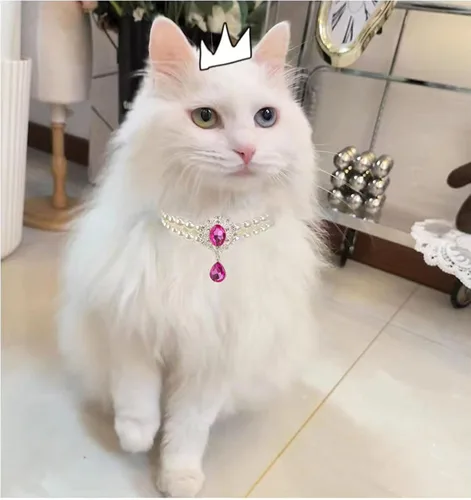 Miniatura 3 de Collar de perlas de 2 filas para gatos, collar de perlas para perros, collares de diamantes de imitación para perros pequeños, accesorios de collar
