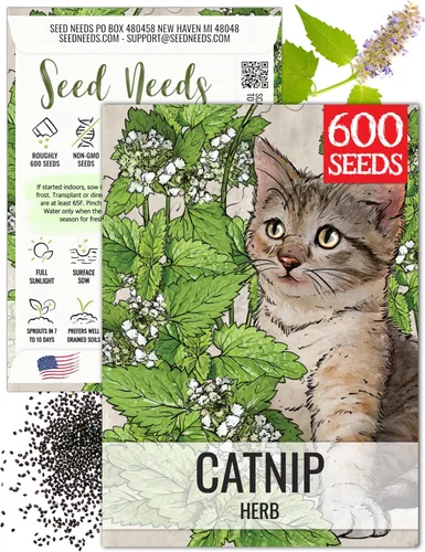 Seed Needs Semillas de hierba gatera para plantar Nepeta cataria - Semillas de hierbas sin OMG y sin tratar para plantar y cultivar un jardín