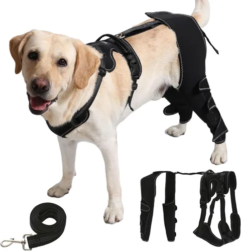 Rodillera para perro con soporte ajustable, pierna trasera Acl para apoyo con lesiones de ligamento cruzado, rótula luxante, artritis, rodillera