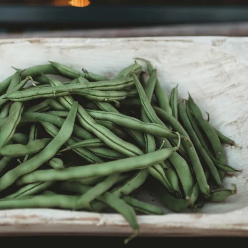 Miniatura 2 de Blue Lake Pole Bean - 4oz Bulk (~375 Seeds) - Heirloom & Open-Pollinated Variety, USA-Grown, Non-GMO Green Bean Seeds for Planting Outdoors in the