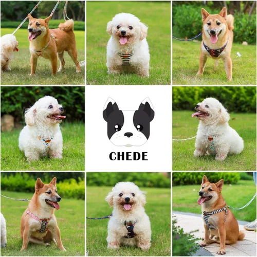 Miniatura 5 de CHEDE Arnés para Perro sin Tirones con Patrón Floral - Arnés para Perro Ligero y Suave, Arnés Ajustable para Perros Pequeños y Juego de Correa