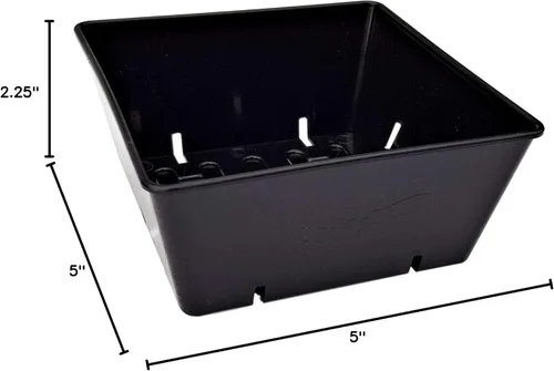 Miniatura 5 de Bootstrap Farmer Paquete de 40 bandejas de cultivo 5 x 5 en color negro, insertos extra fuertes para microverdes y inicio de semillas, plástico