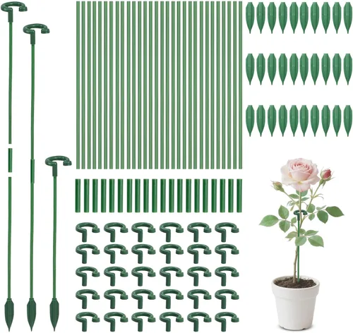 Paquete de 30 estacas pequeñas para plantas de interior de 6.7 pulgadas, estacas de soporte para plantas de un solo tallo para Phalaenopsis/flor de