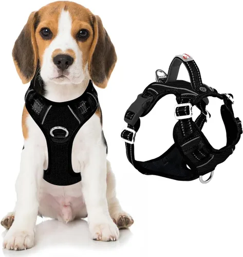 Miniatura 15 de BARKBAY Arnés para perro sin tirones con bolsillo para etiqueta de identificación, resistente, reflectante, fácil control para perros grandes