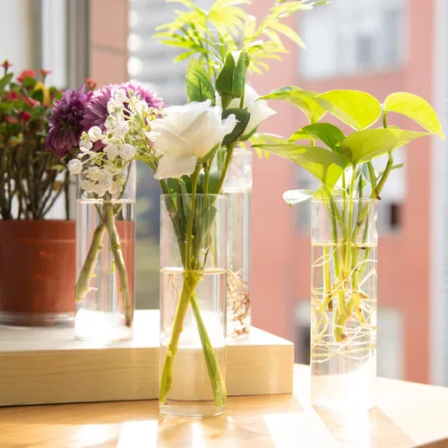 Miniatura 4 de Vumdua Paquete de 4 macetas de vidrio, transparentes, 5.9 pulgadas de alto x 1.85 pulgadas de profundidad, adecuadas para la mayoría de plantas