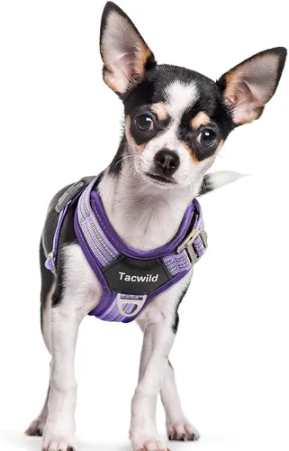 Miniatura 18 de Arnés sin tirones para perro, chaleco reflectante ajustable con broche de metal, malla suave transpirable sin estrangulamiento para cachorro, fácil